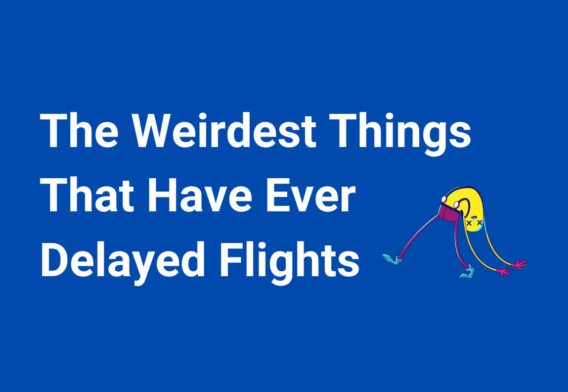 The Weirdest Things That Have Ever Delayed Flights